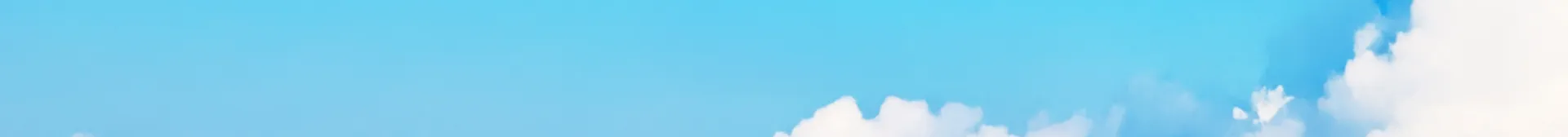 コラム